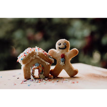 Load image into Gallery viewer, Gingerbread House Eco Cutter Set

