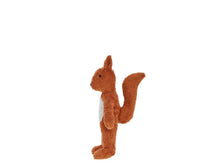 Load image into Gallery viewer, Floppy Animal Squirrel, Small
