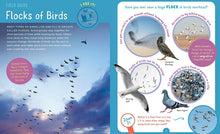 Load image into Gallery viewer, Backpack Explorer: Bird Watch: What Will You Find?
