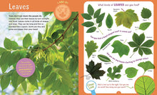 Load image into Gallery viewer, Backpack Explorer: Discovering Trees: What Will You Find?
