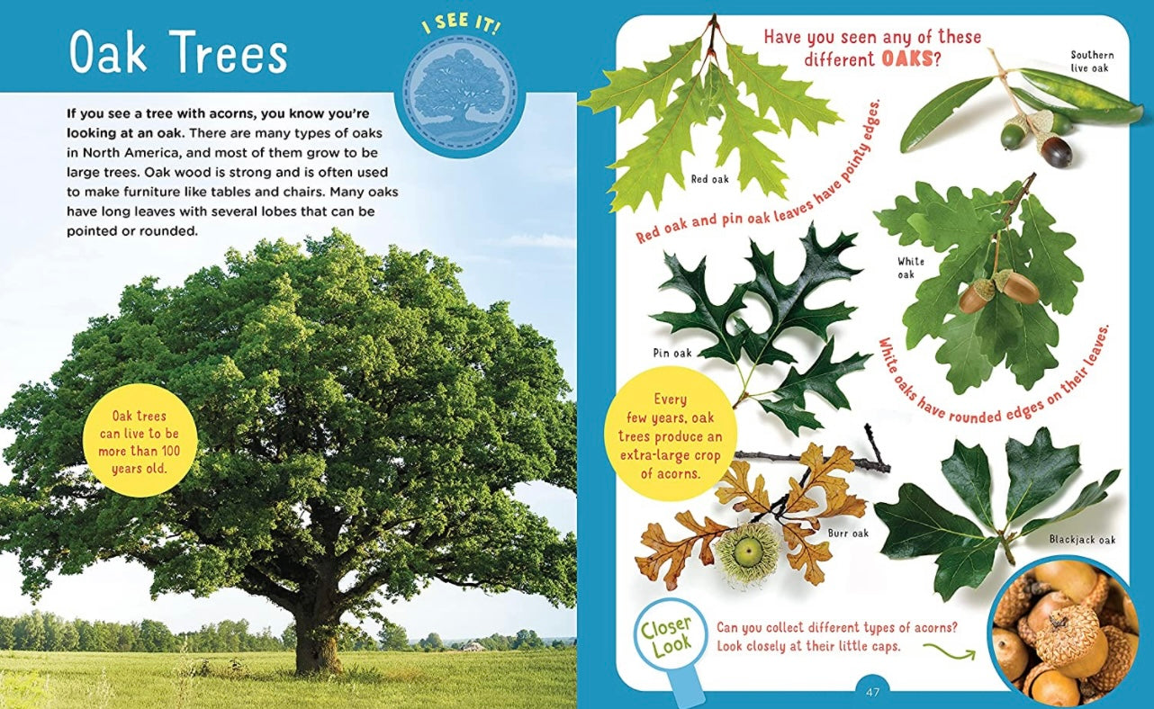 Backpack Explorer: Discovering Trees: What Will You Find?