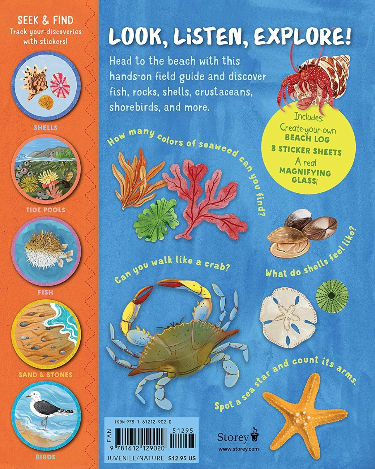 Backpack Explorer: Beach Walk: What Will You Find?