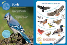 Load image into Gallery viewer, Backpack Explorer: On the Nature Trail: What Will You Find?
