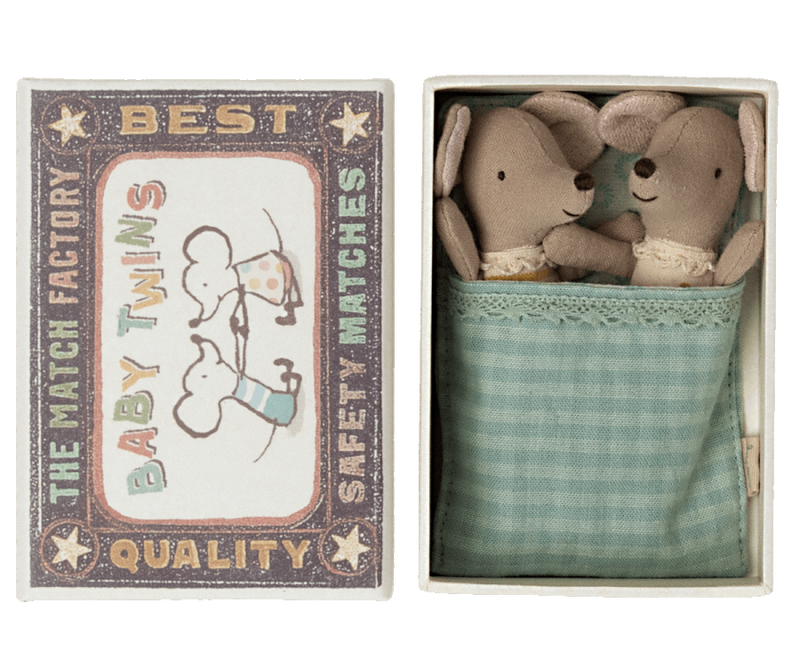 Baby Twins in Box